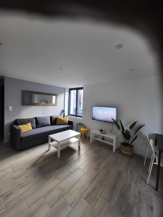 Appartement Entierement Renove A Neuf 101 Saint-Etienne  Exterior foto